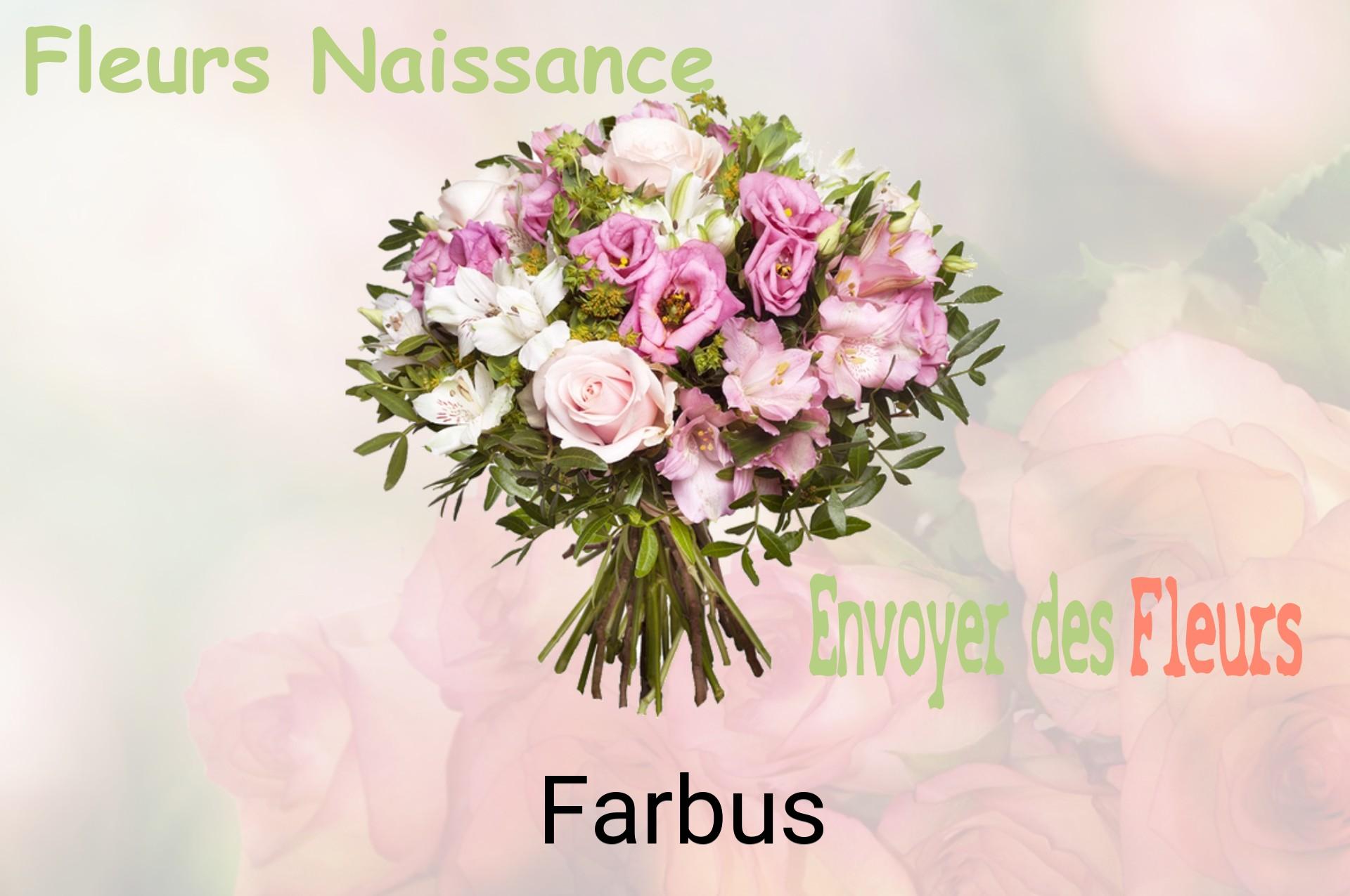 Bouquet de fleurs de naissance livré à Farbus